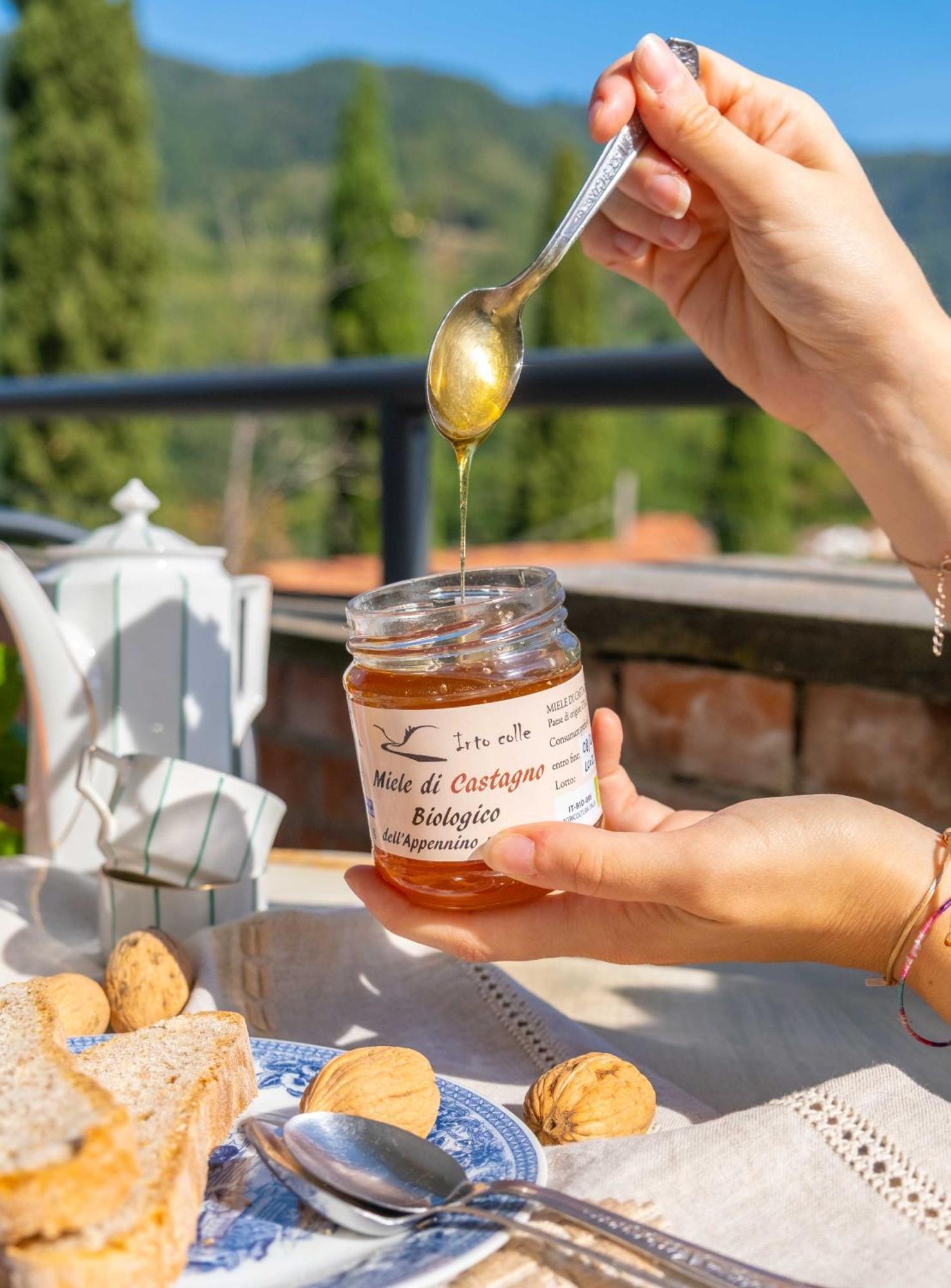 Massa e Cozzile Agriturismo Irto Colle מראה חיצוני תמונה